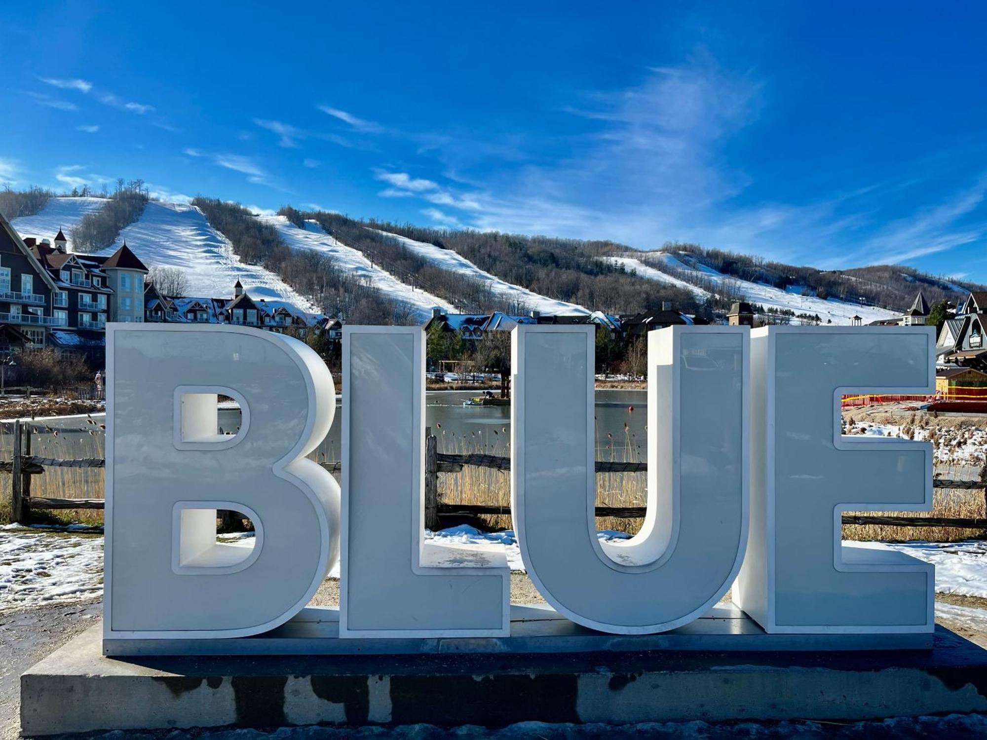 Blue Mountain Studio Oasis Montanhas Azuis Exterior foto